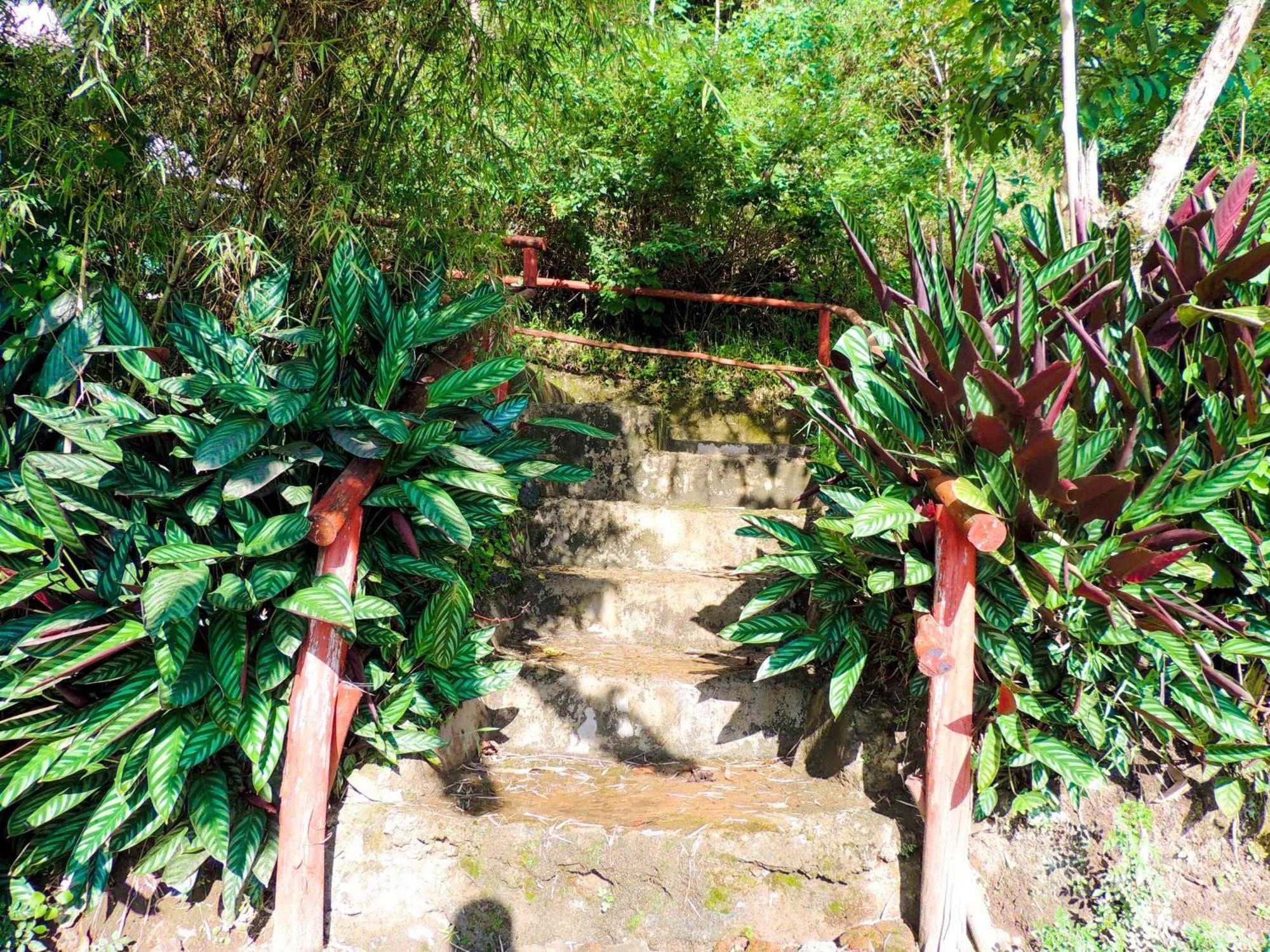 מלון Kisoro Mutanda Eco Community Center מראה חיצוני תמונה
