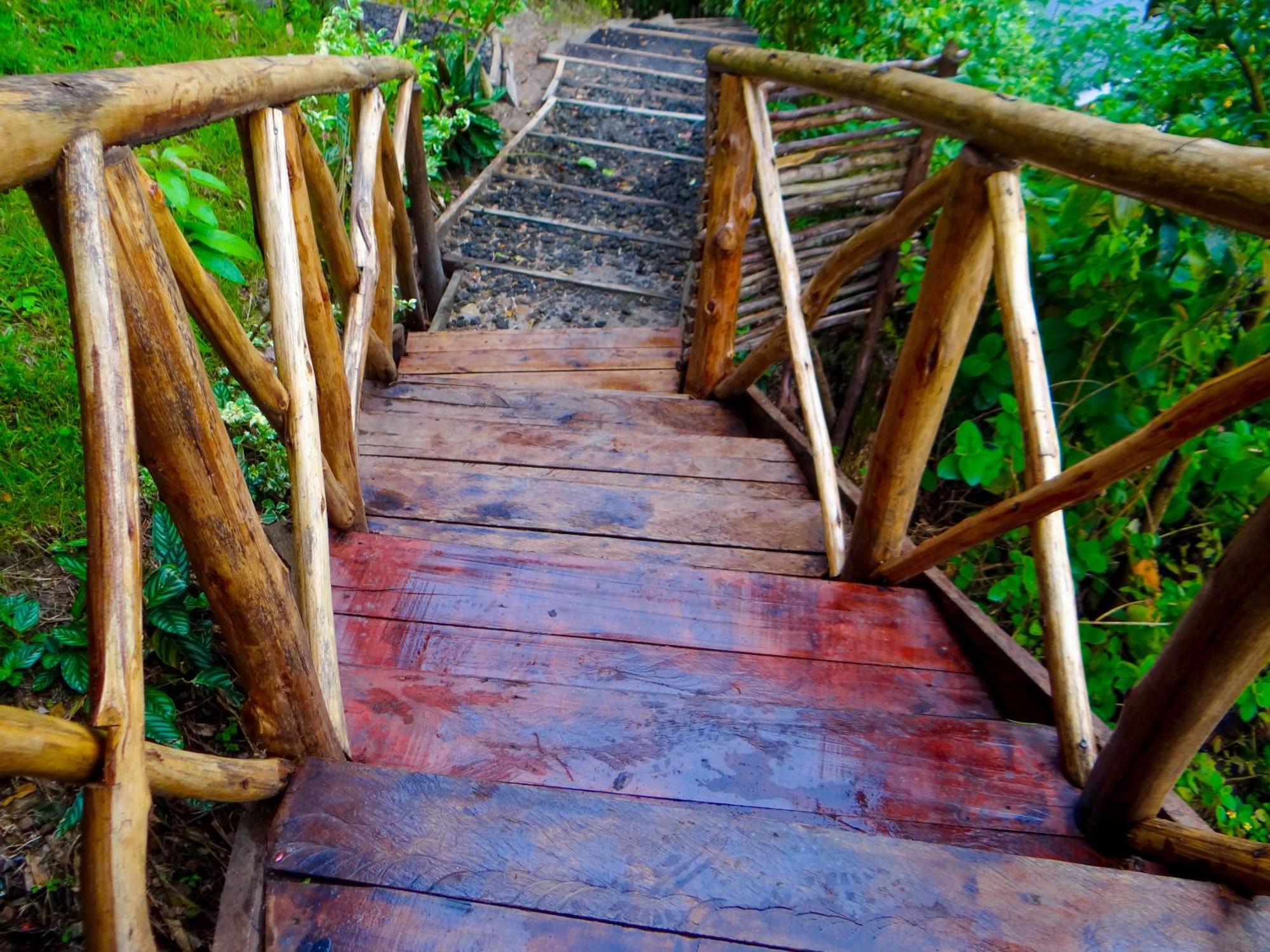 מלון Kisoro Mutanda Eco Community Center מראה חיצוני תמונה